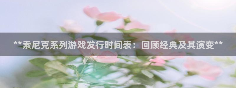 顺盈平台注册：**索尼克系列游戏发行时间表：回顾经典及其演变**