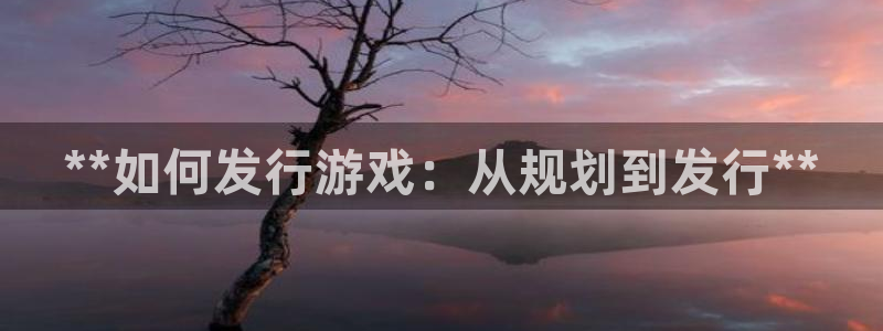 顺盈娱乐的员工待遇怎么样啊：**如何发行游戏：从规划到发行**