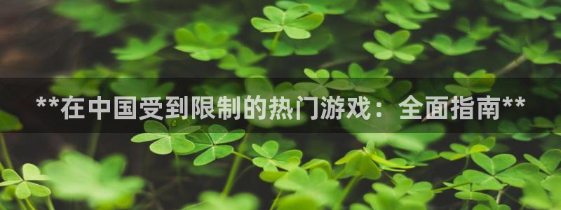 顺盈平台注册流程视频：**在中国受到限制的热门游戏：全面指南**
