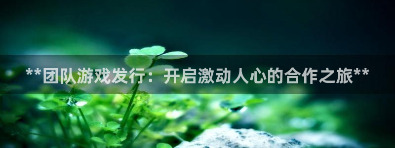顺盈娱乐登录平台是什么平台呀：**团队游戏发行：开启激动人心的合作之旅**