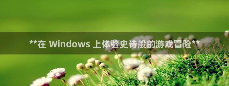顺盈平台注册开户要钱吗：**在 Windows 上体验史诗般的游戏冒险**