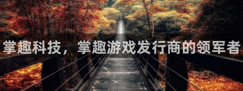 顺盈娱乐平台注册流程视频下载：掌趣科技，掌趣游戏发行商的领军者
