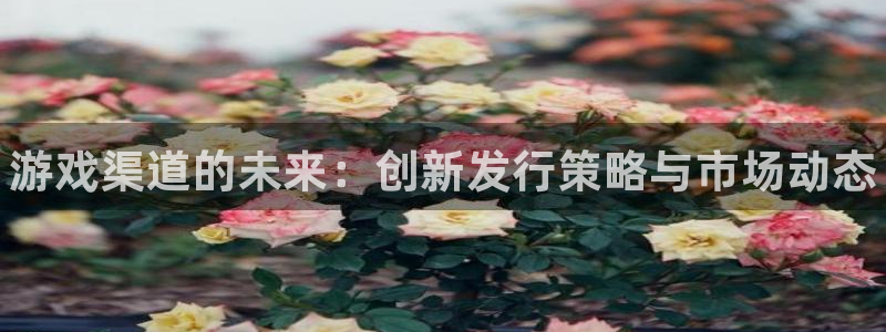 顺盈娱乐平台提现被关闭怎么回事儿啊安全吗