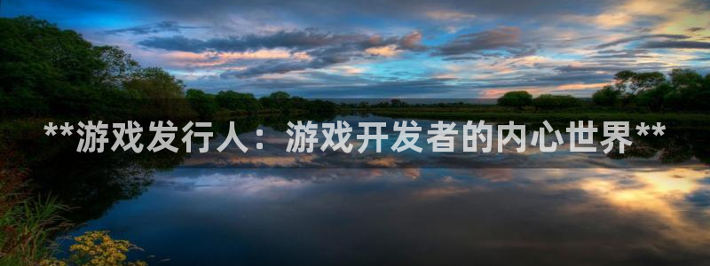 顺盈平台注册流程图：**游戏发行人：游戏开发者的内心世界**