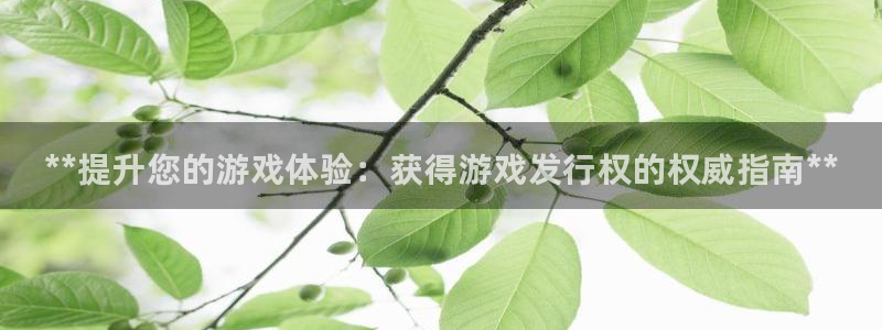 顺盈娱乐平台提现被关闭怎么回事儿呀：**提升您的游戏体验：获得游戏发行权的权威指南**