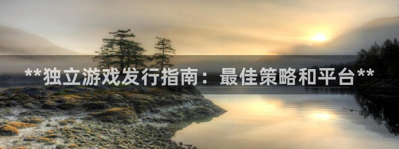 顺盈娱乐母7O777：**独立游戏发行指南：最佳策略和平台**