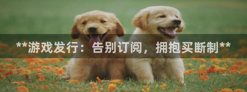 顺盈娱乐平台注册流程视频：**游戏发行：告别订阅，拥抱买断制**