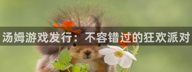 顺盈平台怎么样可靠吗