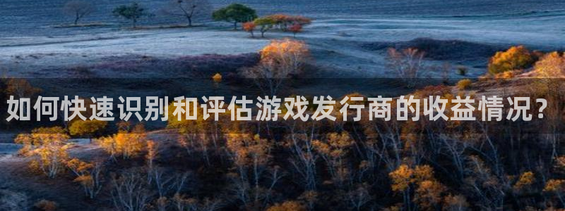 顺盈娱乐供7O777：如何快速识别和评估游戏发行商的收益情况？
