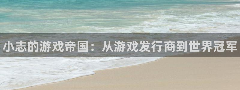 顺盈娱乐平台提现被关闭怎么回事啊安全吗：小志的游戏帝国：从游戏发行商到世界冠军