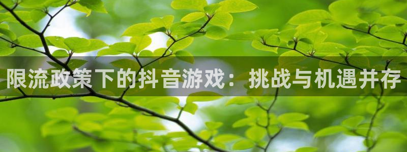 顺盈平台注册网址是什么：限流政策下的抖音游戏：挑战与机遇并存