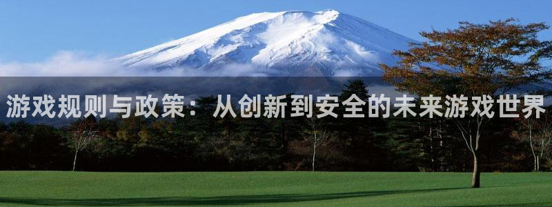 顺盈app：游戏规则与政策：从创新到安全的未来游戏世界
