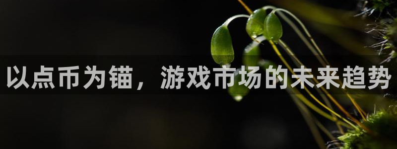 顺盈娱乐公司介绍怎么写啊：以点币为锚，游戏市场的未来趋势