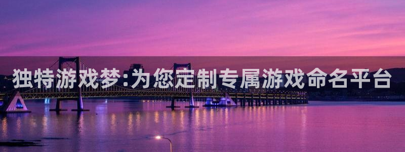 顺盈网络科技有限公司招聘：独特游戏梦:为您定制专属游戏命名平台