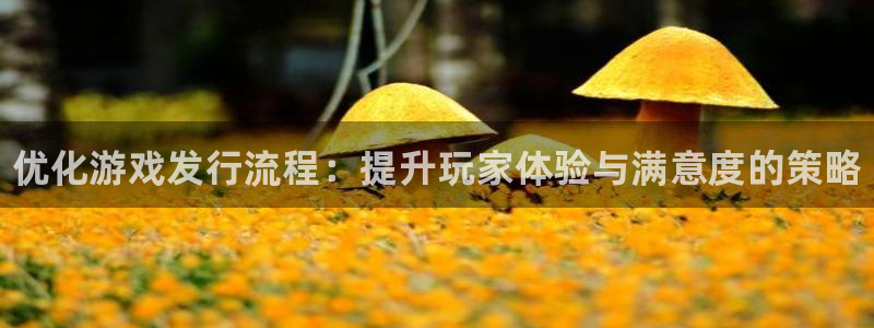 顺盈娱乐平台注册流程图片大全：优化游戏发行流程：提升玩家体验与满意度的策略