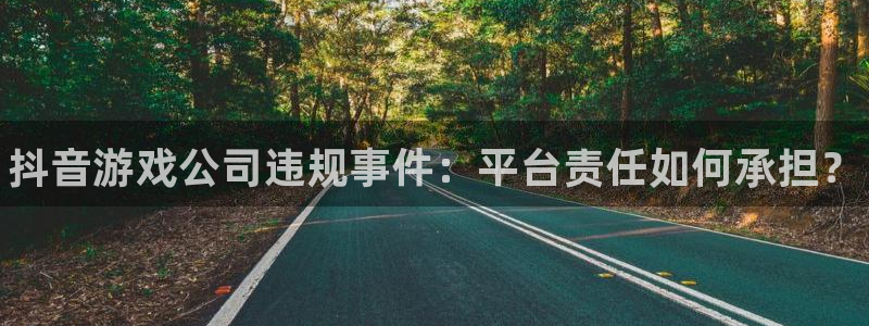 顺盈平台代理：抖音游戏公司违规事件：平台责任如何承担？