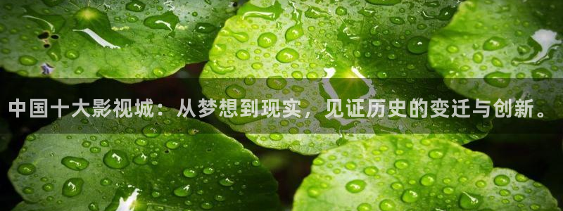 悠久影院电视剧免费：中国十大影视城：从梦想到现实，见证历史的变迁与创新。