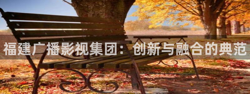 悠久影院免费看电视剧：福建广播影视集团：创新与融合的典范