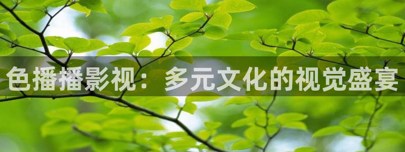 悠久影院手机免费观看：色播播影视：多元文化的视觉盛宴