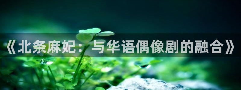 悠久影院在线免费观看：《北条麻妃：与华语偶像剧的融合》