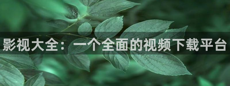 悠久影院：影视大全：一个全面的视频下载平台