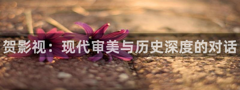 将夜2电视剧悠久影院：贺影视：现代审美与历史深度的对话
