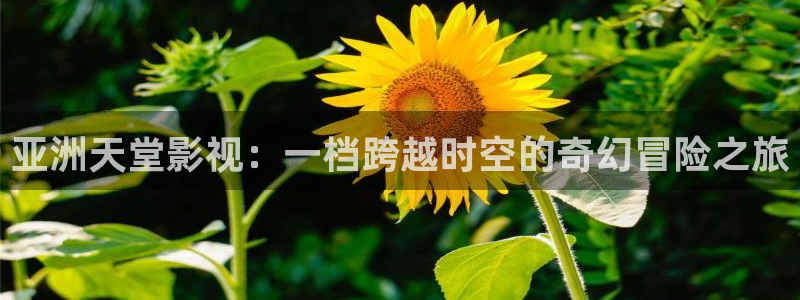 色悠久影院：亚洲天堂影视：一档跨越时空的奇幻冒险之旅